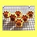 POPBLOSSOM BargainRollBack Silicone Dog Pet Animal Paw Print Ice Cube Chocolate Soap Candle Tray Mold Party Maker, MIX