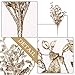 Valery Madelyn 6 Packs Gold Glitter Christmas Picks with Artificial Pine Cone and Leaves for Christmas Flower Arrangements Wreaths and Holiday Decorations (Leaves)