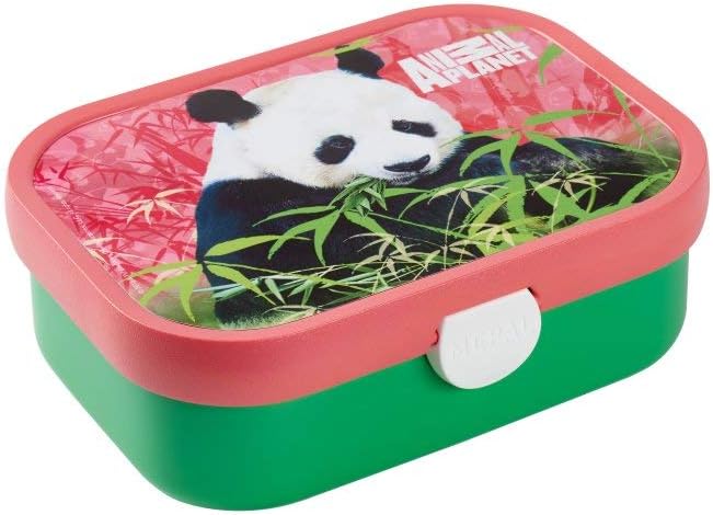 mepal-campus - Mepal Campus Lunchbox - Animal Planet Panda (1 TOYS)