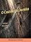 Livro O Castelo de Damião (PSICOR, os tipos de caráter em ação)