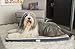 Simmons Beautyrest Thera Bed Orthopedic Memory Foam Dog Bed and Kennel/Crate Mat