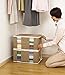 1Storage Clothing Organizer Bag, Breathable Material, 2cells, Carry Handles, LightBrown 902-09