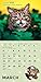 Lil Bub 2016 Wall Calendar