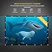 Projector Screen, 16:9 Portable Outdoor Projector Screen Suitable for HD TV Sports Movies Presentations (120 inch)