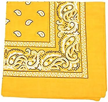 Paisley Bandanas Head Wrap, 100% Cotton Double Sided, 21 x 21 Inch