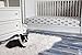 2 Pack Jersey Fitted Cotton Crib Sheet with Anchor Print - Standard Crib Mattress Size - Toddler, Kids Bedding - Navy Blue Nautical Nursery Decor - Ideal for Infant Boys Or Girls