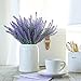 Butterfly Craze Lifelike Artificial Lavender Plants - Perfect for Crafting, Home Decor, and Weddings, Pair with Fake/Dried Flowers Like Purple Roses, Nearly Natural Faux Silk Flowers, 8-Piece Bundle