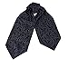 ERA7B05 Classic Present Silk Ascot Patterned Mens Cravat for Designer By Epoint