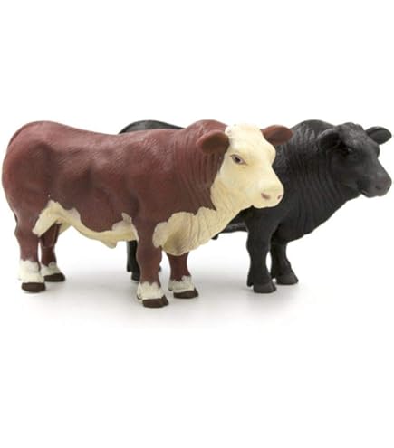 Amazon.com: CollectA Black Angus Bull : Toys & Games