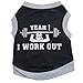 Howstar Pet Shirt, Summer Clothes for Pet Puppy Vest Dogs Costumes Tank Top Pet Apparel (XS, A)