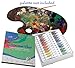 Daveliou Watercolor Paint Set - 24 Non-Toxic Watercolor Paints 12ml - Vivid Colors