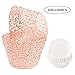 BAKHUK 100pcs Pink Lace Cupcake Wrappers with 100pcs Paper Cupcake Liners,Baking Cup Wraps for Muffin Case,Artistic Bake Cake Paper for Wedding Birthday Party Baby Shower Decoration
