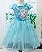 Eyekepper Kids Children Girls Cartoon Elsa Princess Cosplay Mesh Bubble Dress Blue