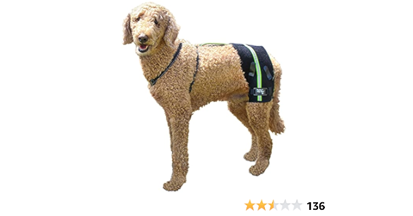 hip hound brace amazon
