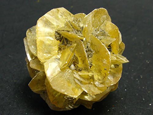 Gypsum Rose Crystal From Manitoba Canada - 1.3"