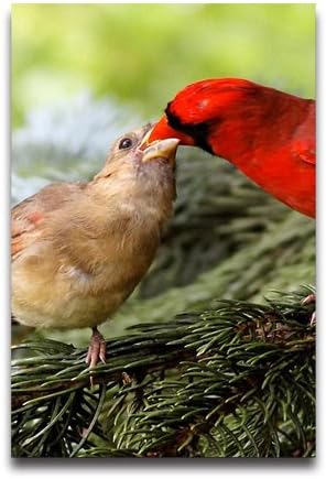 Red Bird On Tree Design 20 x 30 Inch Poster Wall Sticker