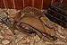 Polare Cool Real Leather Cross Body Sling Bag Chest Bag Backpack Large