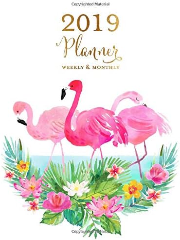 2019 Planner Weekly & Monthly: Hot Pink Flamingo Tropical Agenda Book, 2019 Splendid Planner Paperback – September 17, 2018