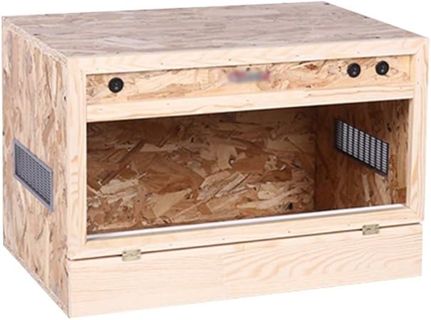 lizard tank pets at home