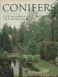 Conifers by 