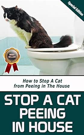 stop cat peeing