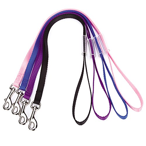 Dog Grooming Loop