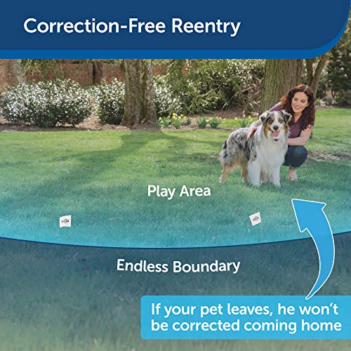 PetSafe YardMax BatteryOperated InGround Pet Fence Cordless