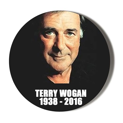 Gift Insanity Imán para Nevera de 38 mm con Texto en inglés Terry ...