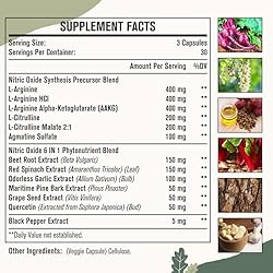 Nitric Oxide Boost - Nitric Oxide Precursor Blend