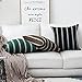 Home Brilliant Classic Black White Stripes Lace Throw Pillow Covers Decorative Euro Shams, 2 Packs, 24x24 inches(60cm), Black