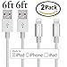 iPhone Charger, IWAVION 2Pack 6FT Lightning Cable Extra Long 8pin USB Data Transfer Charging and Syncing Cable for iPhone 6s Plus/6s/6/6 plus/5/5s,iPad Mini,Mini2.iPad 5,iPod 7 (2Pack-Silver)