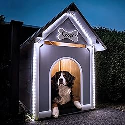 JMEXSUSS 120 LED Solar Powered Rope Lights