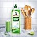 FROSCH Natural Liquid Dish Soap, Vegan Hand Dishwashing Detergent, Green Lemon, 750ml (Pack of 2)