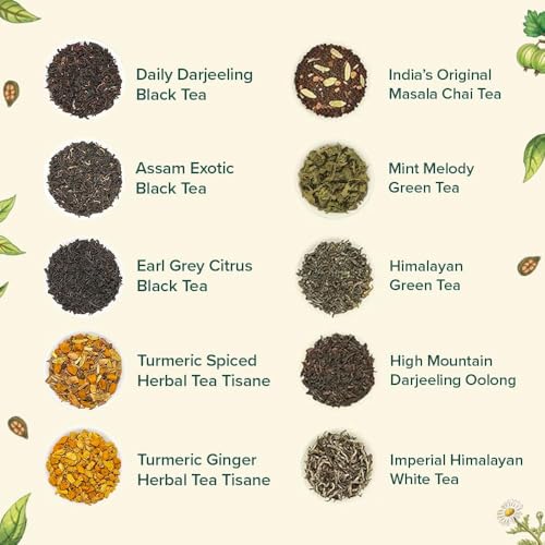 VAHDAM Top 10 Favourites Tea Sampler Set | Loose Leaf Tea (50+ Cups) | Tea Variety Pack with Green, Herbal, Black & Chai Brew | Vacuum Sealed For Freshness | Brew Hot & Cold