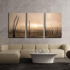 3 Piece Canvas Wall Art - Wasteland with Foggy Sky - Modern Home Art Stretched and Framed Ready to Hang - 16"x24"x3 Panels