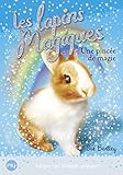 Les lapins magiques, Tome 5 : Une pincée de magie by 
