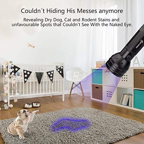 Escolite UV Flashlight Black Light, 51 LED 395 nM Ultraviolet Blacklight Detector for Dog Urine, Pet Stains and Bed Bug (Renewed) - Thumbnail 5