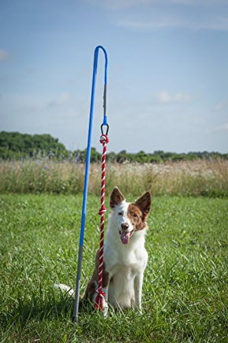 Tether Tug Interactive Dog Rope Toy (MED (35-75lbs))
