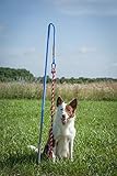 Tether Tug Interactive Dog Rope Toy (MED (35-75lbs))