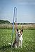 Tether Tug Interactive Dog Rope Toy (MED (35-75lbs))