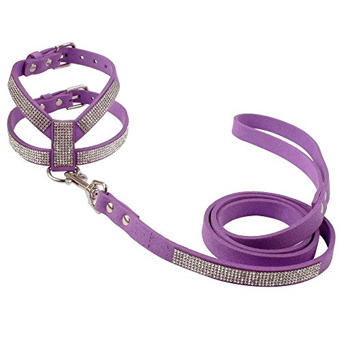 Buy Berry Pet 1/2" Velvet Sparkly Rhinestone Dog Harness & Leash Purple Set for Cute Small