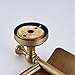Oulantron Antique Brass Toilet Paper Holder Roll Tissue Bracket Wall Mounted