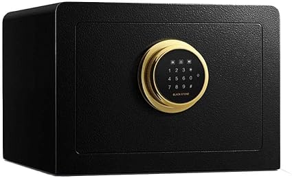 Cajas fuertes Caja de Seguridad Digital Pequeña de 25 Cm ...