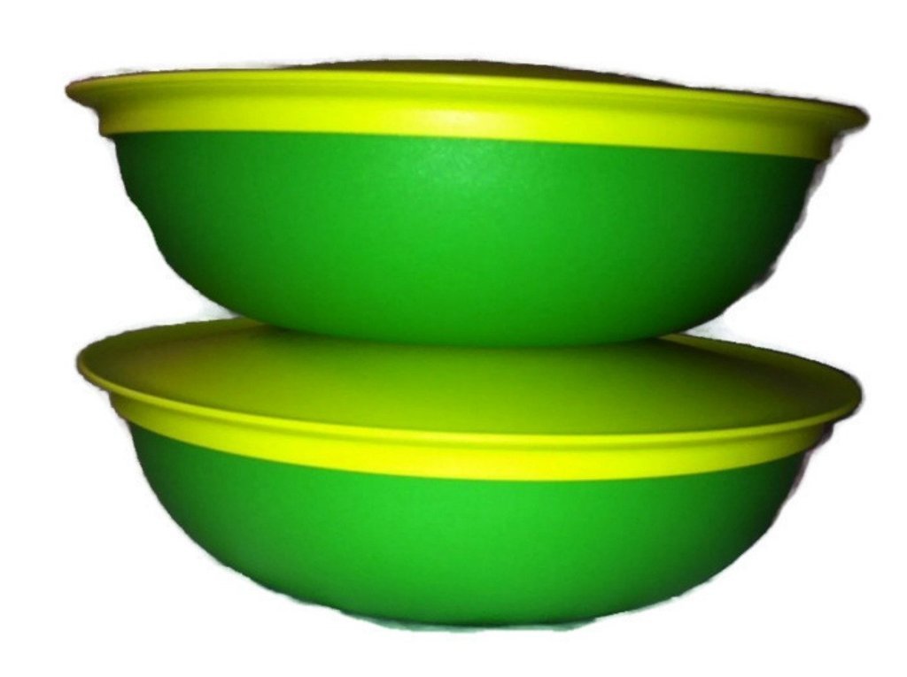 Buy Tupperware Allegra Bowls Set of 2, (740 ml Each) Online at Low
