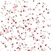 PROLOSO Baby Gender Reveal Balloon Set Pink Powder and Confetti for Baby Shower - Baby Girl Kit - Jumbo 36