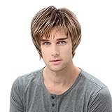 STfantasy Mens Wig Blonde Ombre Brown Male Guy Short Layered Cosplay Party Hair Toupee 12