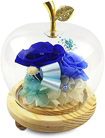 HPPFOTRS Handmade Preserved Rose Never Withered Roses Flower in Apple Glass Dome, Gift for Valentine's Day Anniversary Birthday, with LED Flash Light (Simple pakage)
