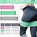 FUUNSOO Resistance Bands Fabric Non-Slip Exercise Bands for Legs and Butt, Wide Workout Bands for Home Fitness, Strength Training, Physical Therapy, Yoga