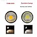 LemonBest Solar Pathway Lights - 2 Pack Solar Lights Outdoor Waterproof Solar Garden Lights Outdoor Decorative Auto On/Off Led Path Lights for Patio Lawn Yard Landscape Walkway (Warm White) (1 Pack)