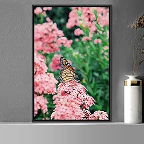 signwin Framed Canvas Wall Art Butterfly Expressive Farmhouse/Country...